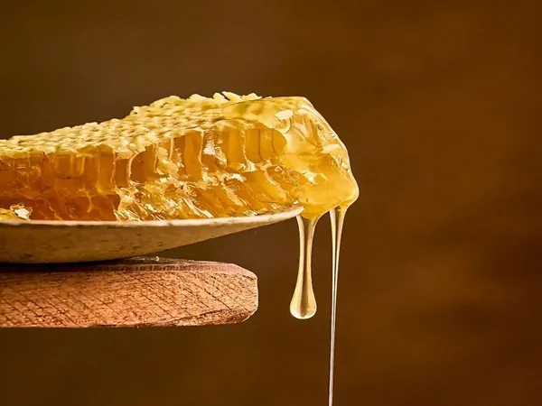 قیمت خرید عسل کوهی اصل + خواص، معایب و مزایا