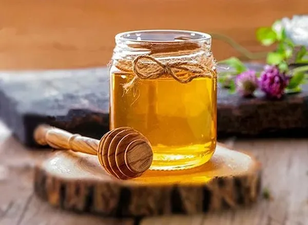 بهترین عسل گون آویشن + قیمت خرید عالی
