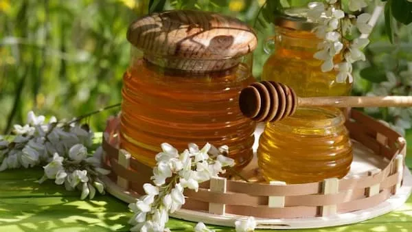 بهترین عسل طبیعی بهار نارنج  + قیمت خرید عالی