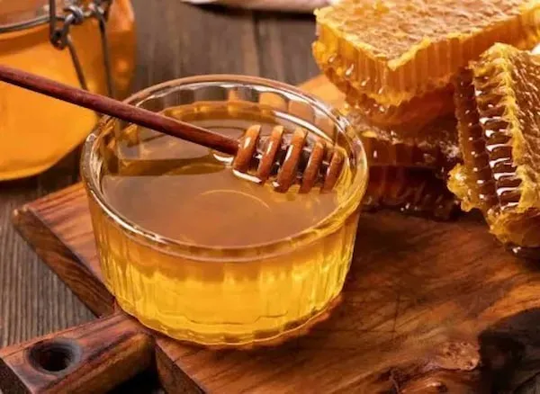 بهترین عسل اسطوخودوس کدام است؟ + مقایسه کامل | قیمت عالی