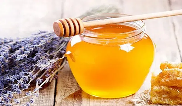 بهترین عسل اسطوخودوس کدام است؟ + مقایسه کامل | قیمت عالی