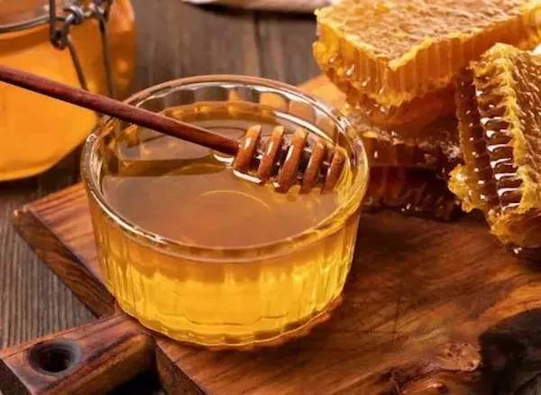 بهترین عسل آفتابگردان کدام است؟ + مقایسه کامل | قیمت عالی
