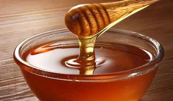 بهترین عسل اسطوخودوس کدام است؟ + مقایسه کامل | قیمت عالی