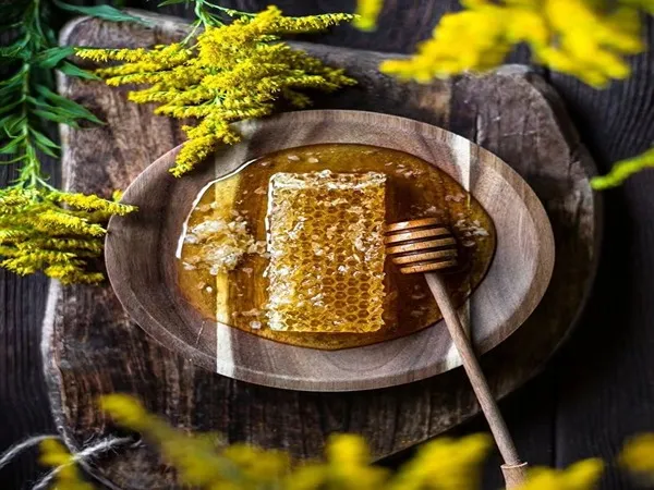 قیمت خرید عسل کوهی اصل + خواص، معایب و مزایا
